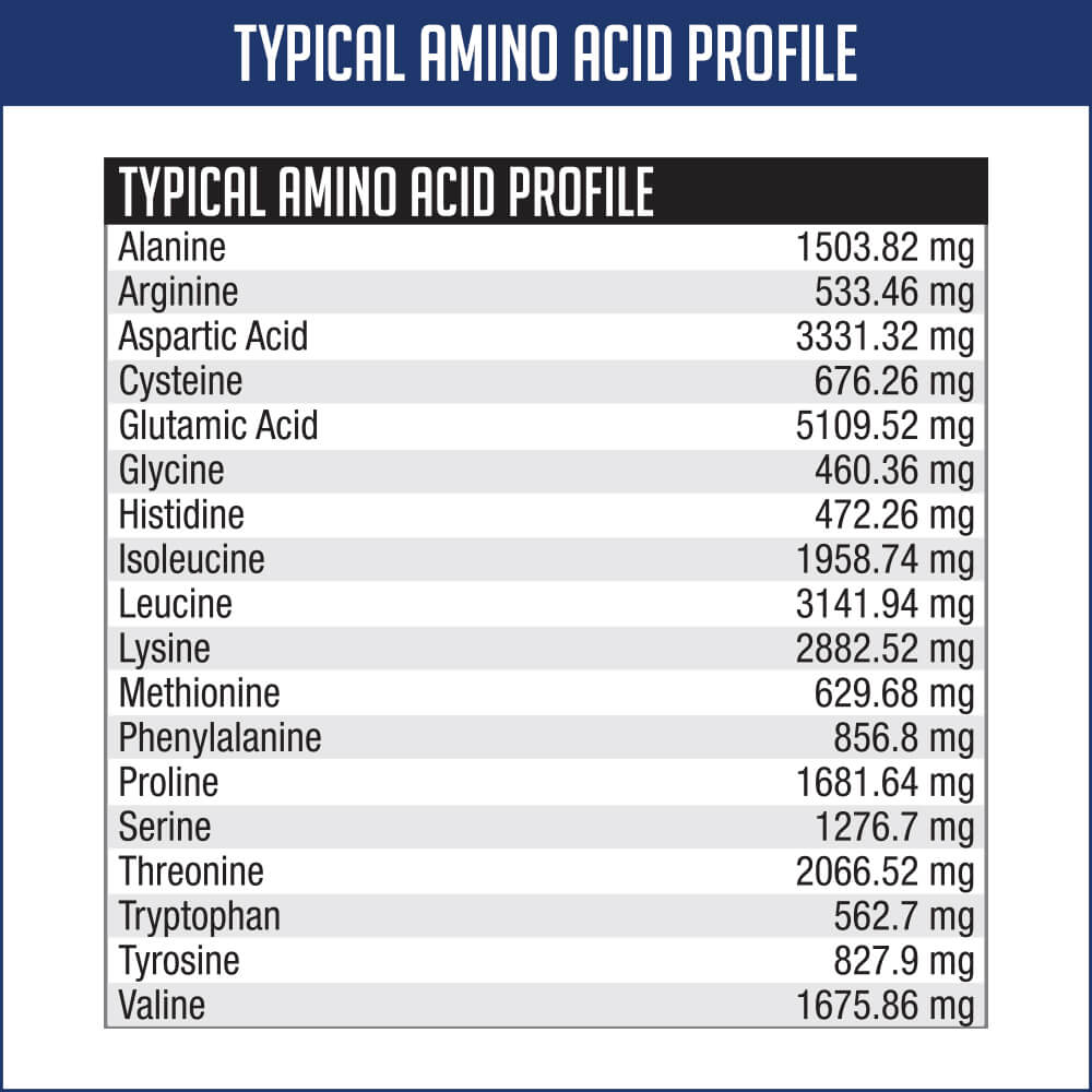 iso whey protein powder