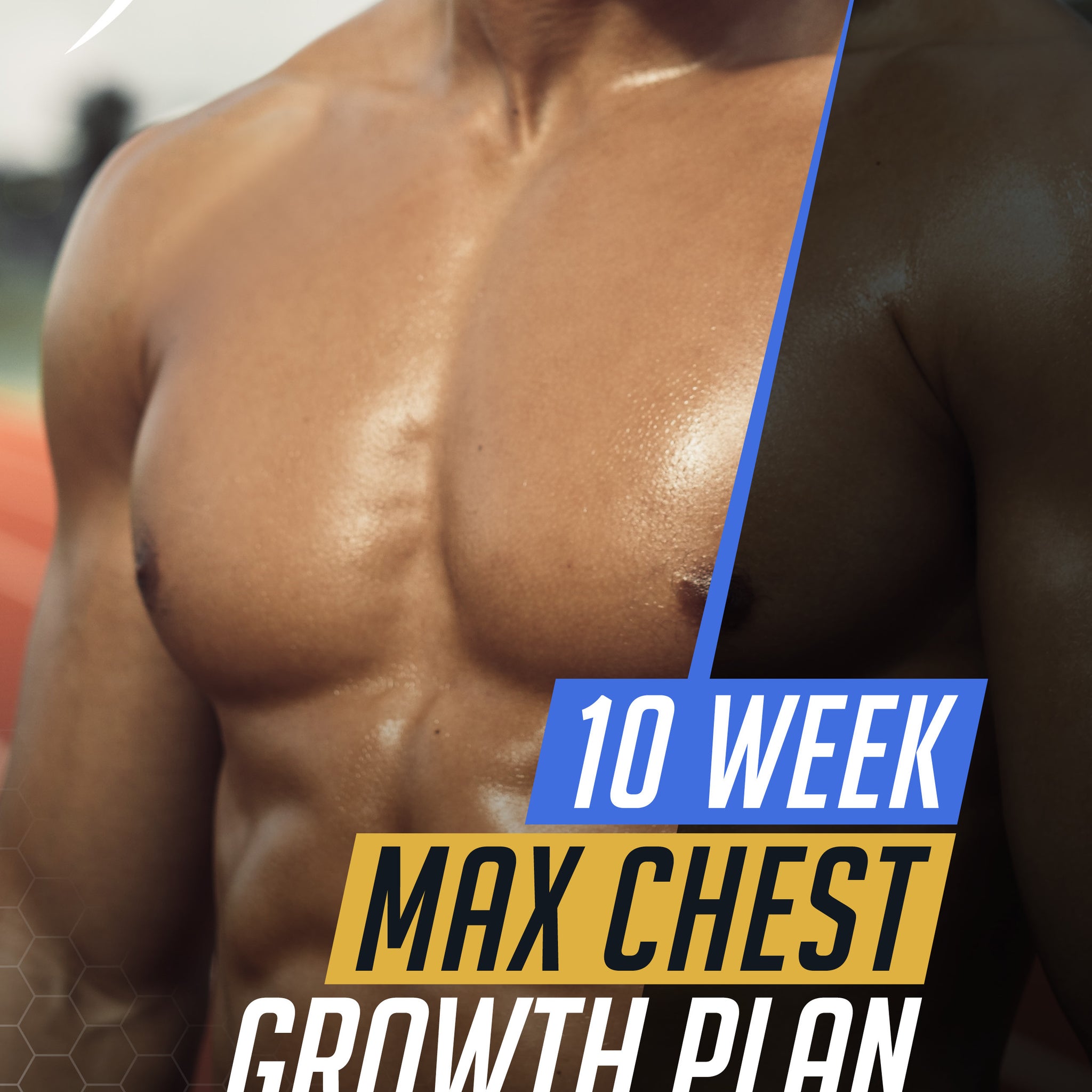 10 Weeks Max Chest Growth Plan